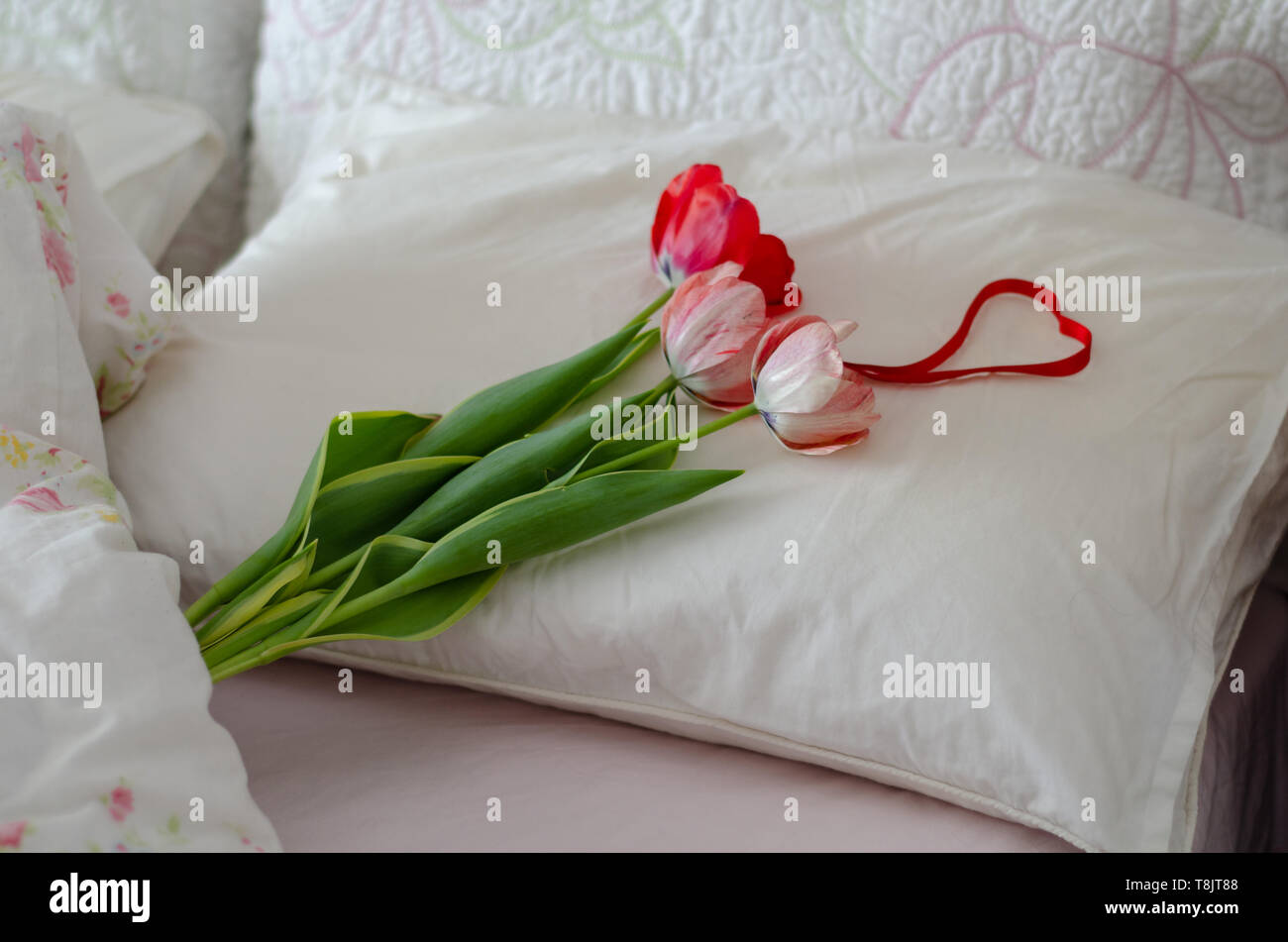 Ramo de tulipanes de colores en una acogedora cama.Stil-vida día de la madre, día de San Valentín, el 8 de marzo,la pascua,birtday concepto. Foto de stock