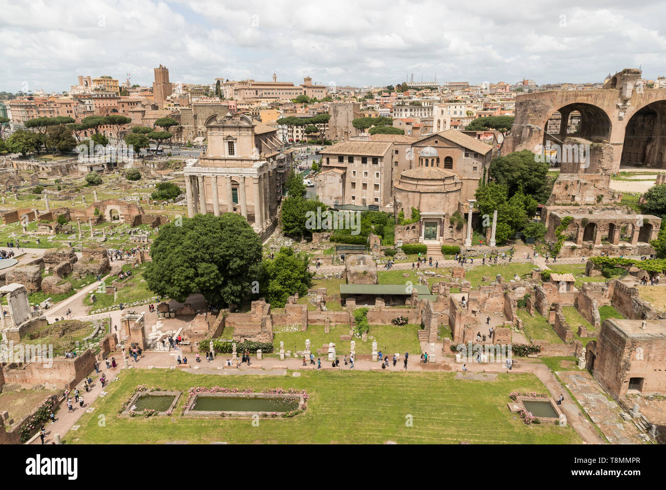 Italia, Roma: vestigios romanos que rodean el Foro Romano, el Foro Romano, sitio registrado como sitio del Patrimonio Mundial de la UNESCO Foto de stock