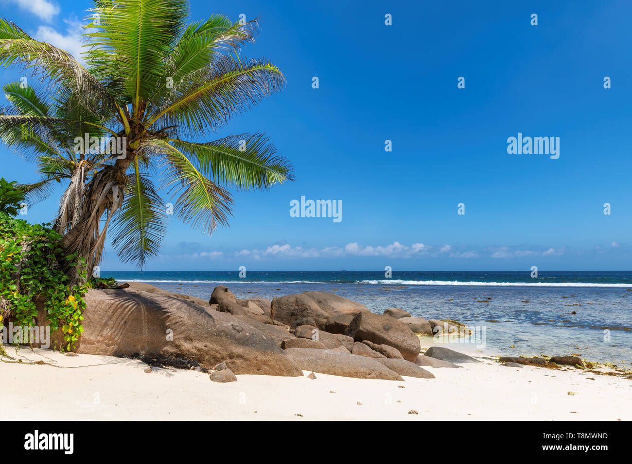Playa exótica Foto de stock