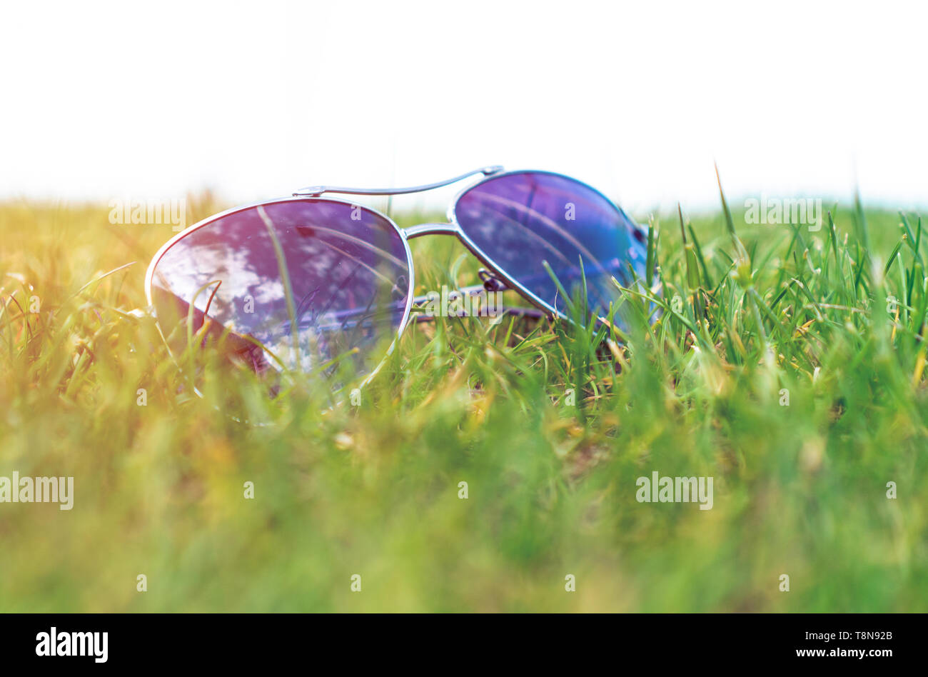 Soft Focus, gafas de sol, sobre la hierba verde, azul cielo, reflexiones, humor de verano. Foto de stock