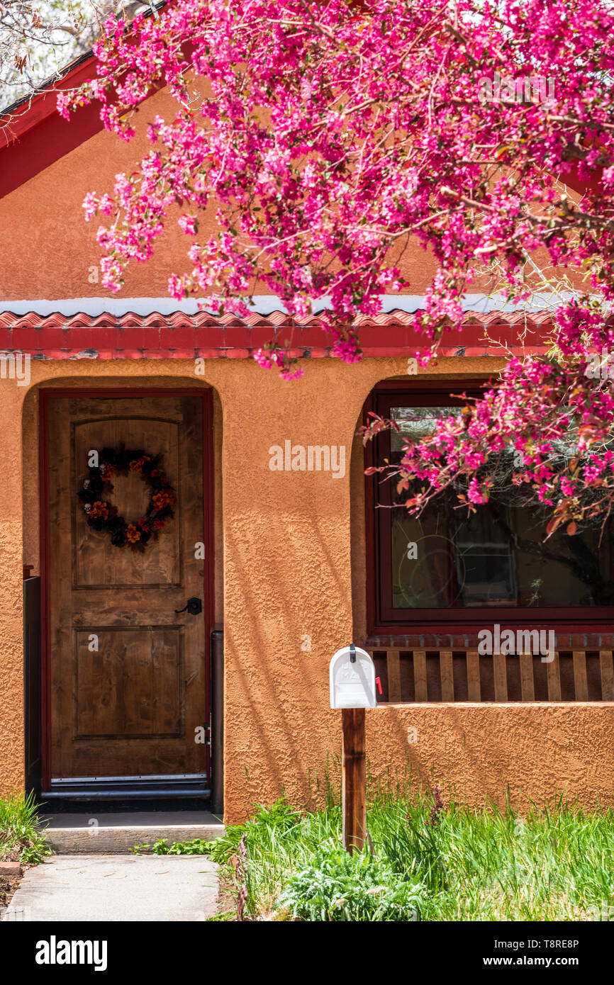 Delante de la casa residencial & Crabapple árbol en plena primavera flor; Salida, Colorado, EE.UU. Foto de stock