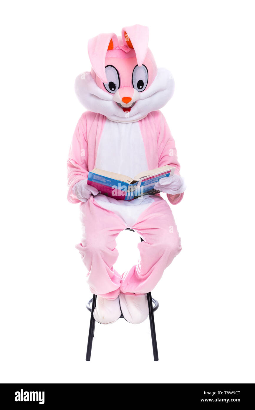 Tamaño de la vida traje de conejo con libro sobre fondo blanco. Easter Bunny lee el libro, obtiene una educación, tratando de ser inteligente Foto de stock