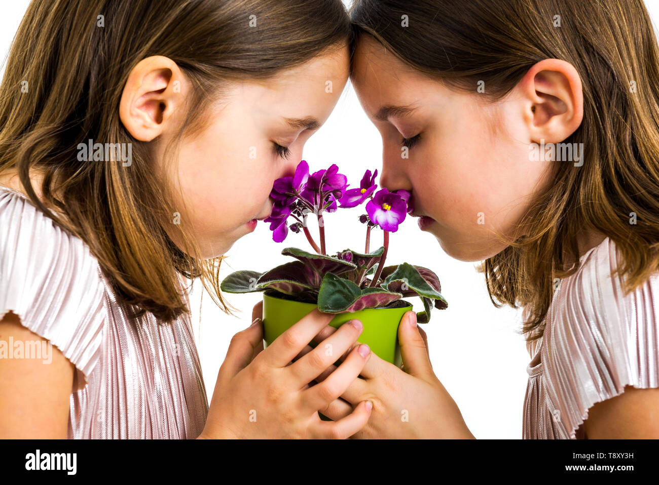 Chica gemelas son olorosas flores viola green pot. Niñas niños lloran con los ojos cerrados. Concepto de duelo la pérdida de seres queridos. Foto de stock