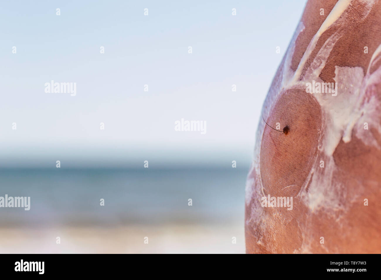 Cerca de un hombre caucásico aplicar protección solar a la mole con secador de piel seca en la playa, concepto de cáncer, cuidado de la piel Foto de stock