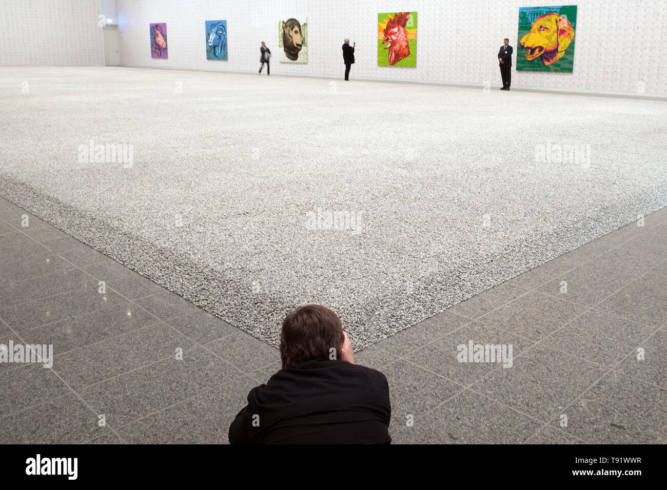 En Dusseldorf, Alemania. 16 de mayo de 2019. Un fotógrafo toma fotografías  de la obra 'Sunflower', que consta de semillas de girasol Semillas de  porcelana, por el artista chino Ai Weiwei desde