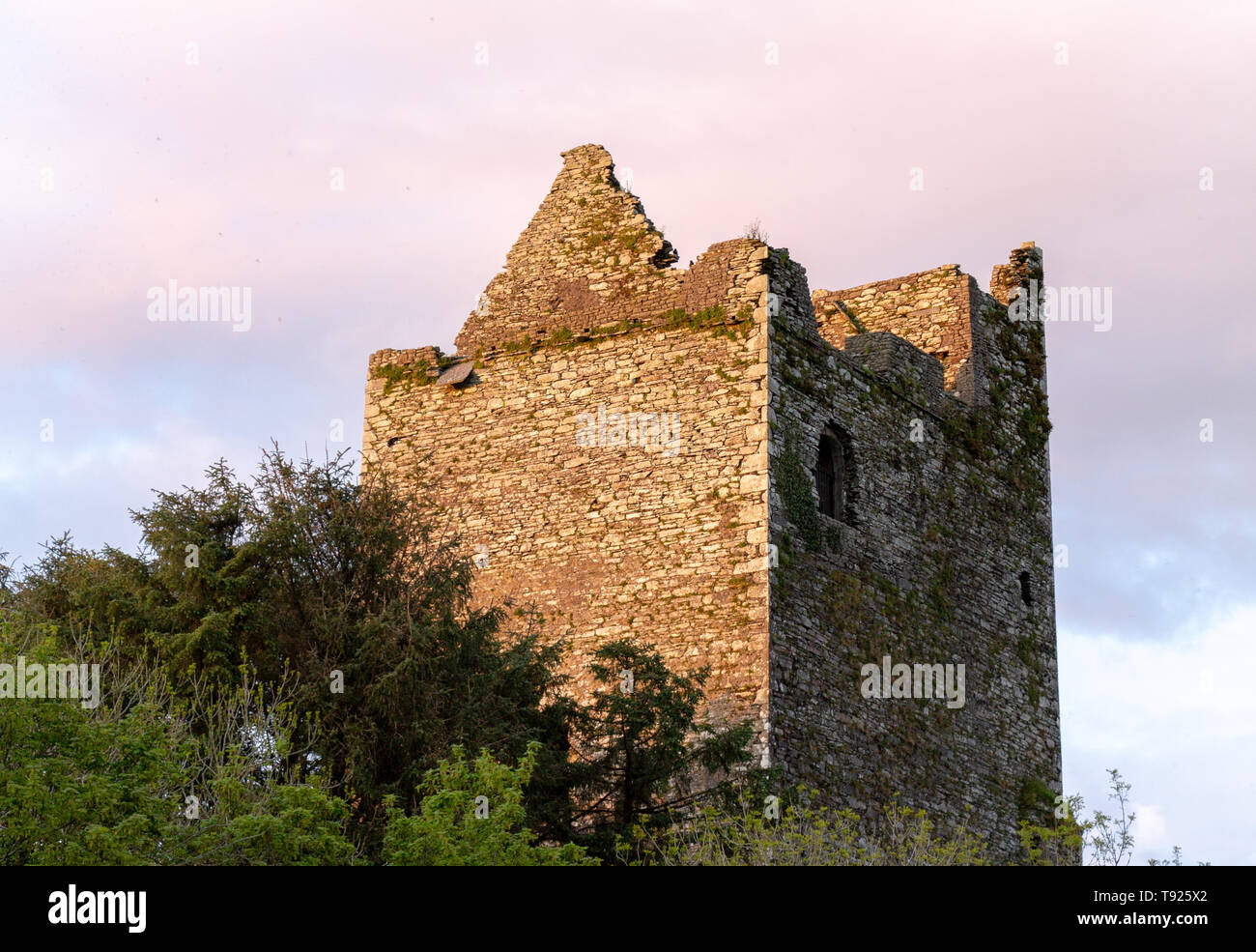 Ballinacarriga castillo castillo irlandés al atardecer. Foto de stock
