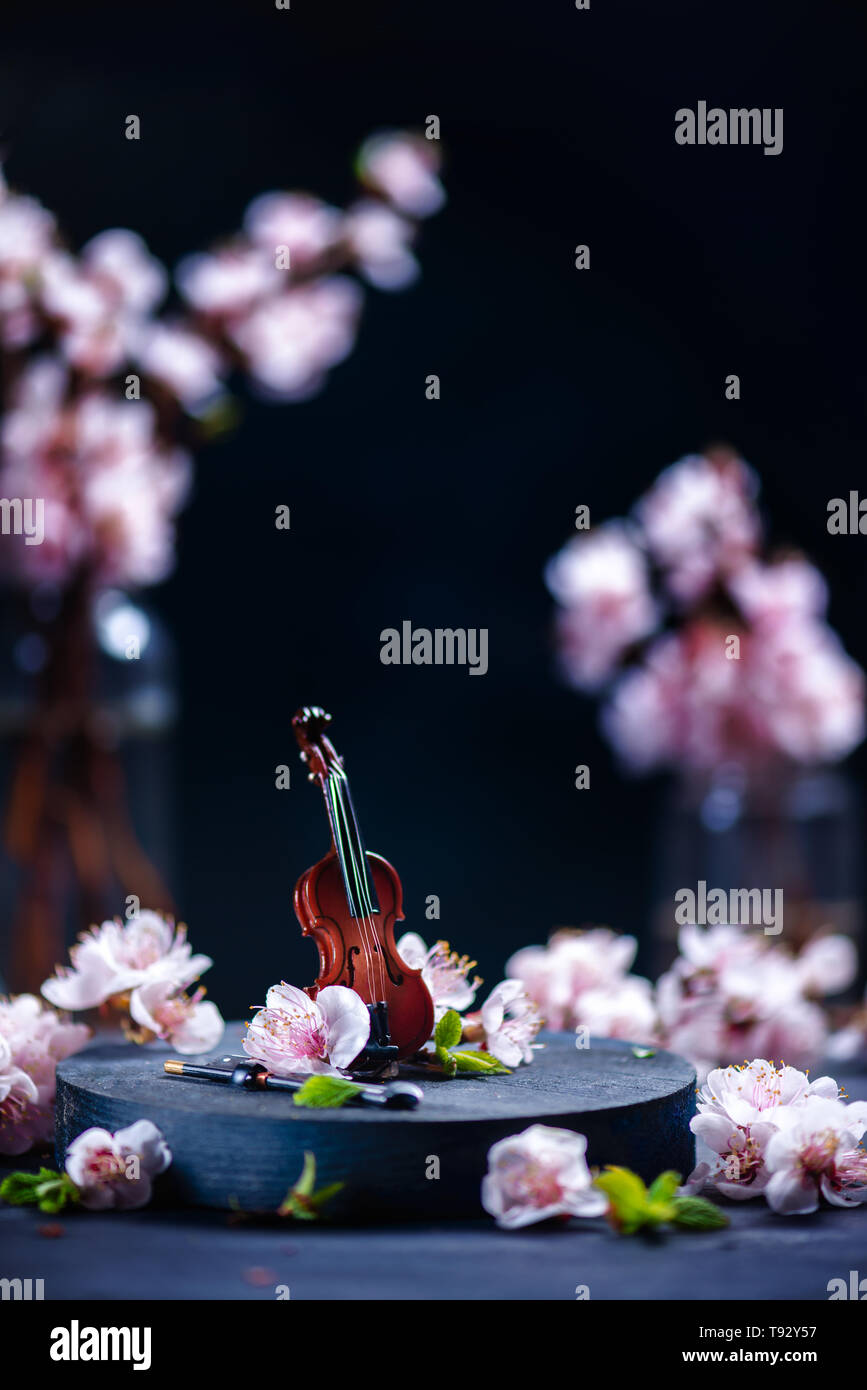 Pequeño violín con Pink Cherry Blossom sobre un fondo oscuro con espacio de copia. Concepto de música de primavera. Foto de stock