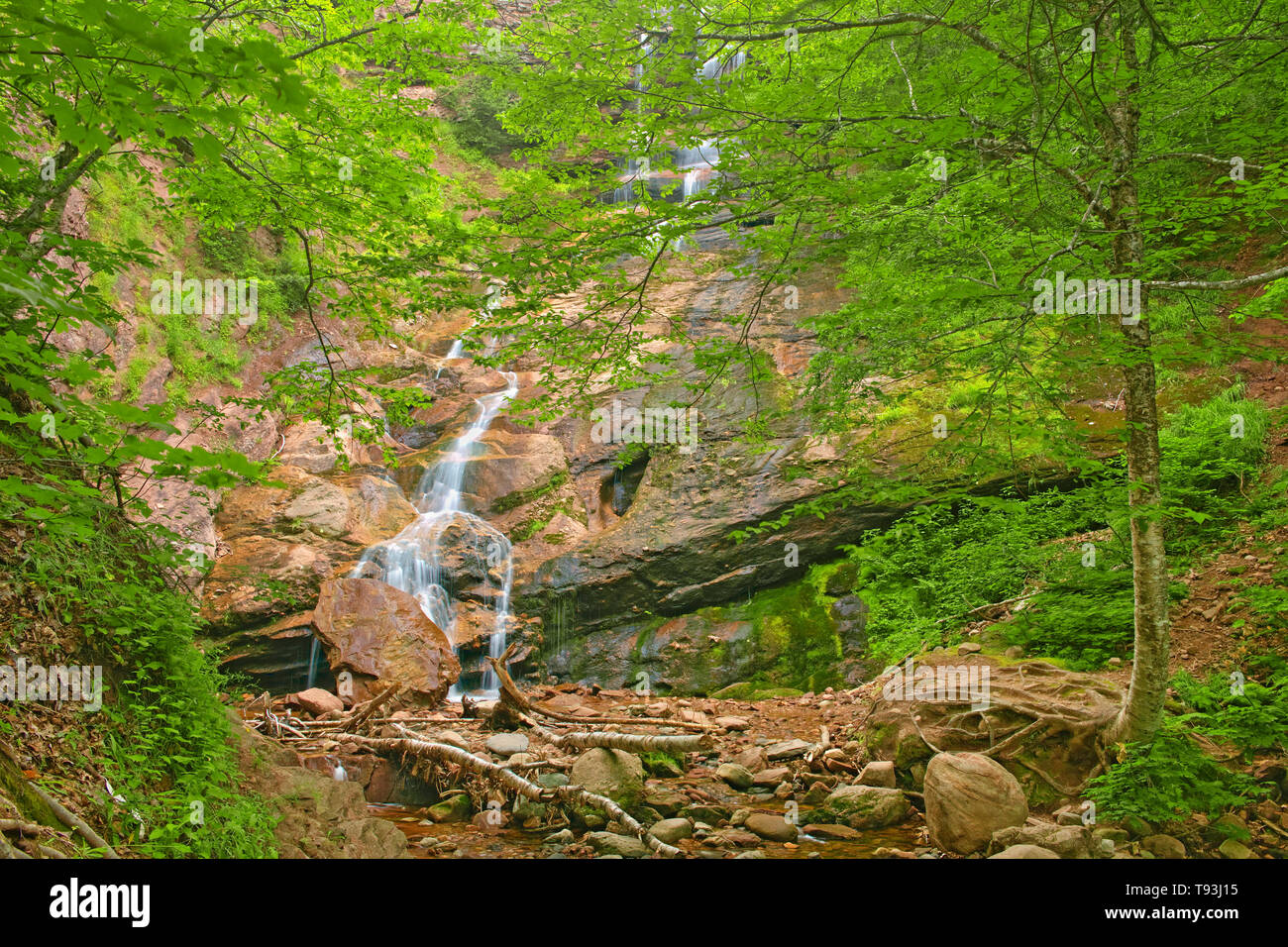 Prohibición Beulach Falls. Cabot Trail. La isla de Cape Breton. La cadena montañosa de los Apalaches. El Parque Nacional de Cape Breton Highlands Nova Scotia, Canadá Foto de stock