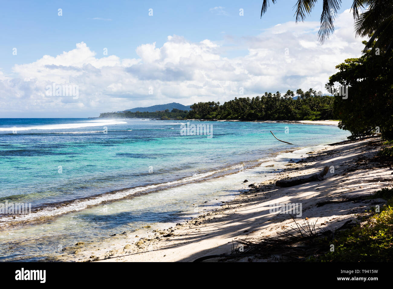 Vista paisaje tropical en la playa en la Polinesia con perfecta de arena blanca, palmeras, sombra de palmeras en primer plano, el océano, con aguas color turquesa y profunda b Foto de stock