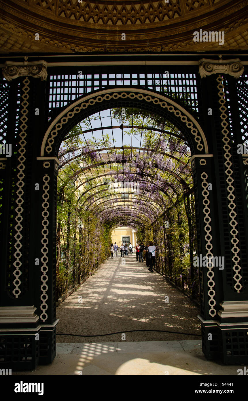 Los jardines imperiales del palacio de Schonbrunn en Viena. Famoso