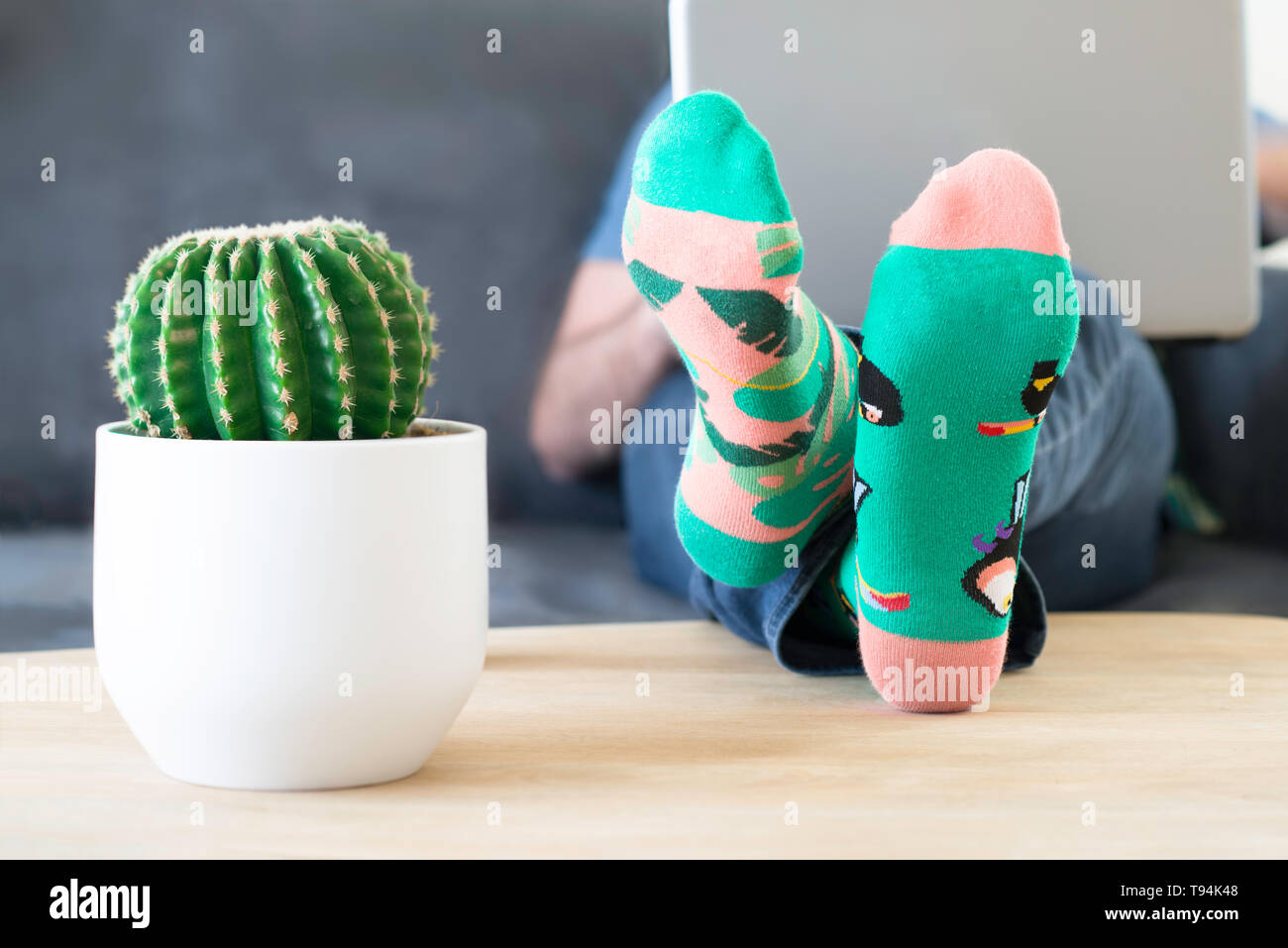 Profecía espalda Permanentemente Un hombre loco multicolor calcetines con pies y un cactus en la tabla.  Hombre trabajando en un equipo portátil en casa Fotografía de stock - Alamy