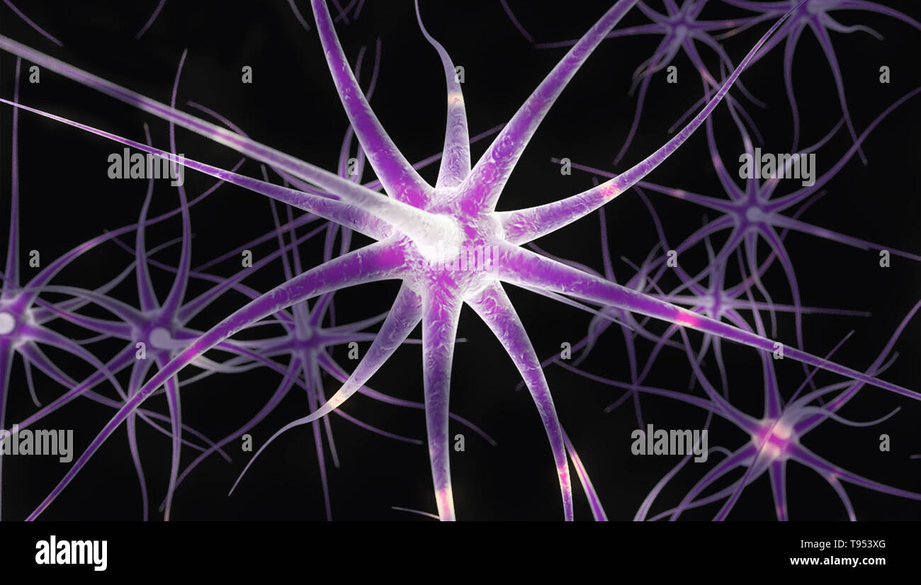 Una ilustración de las células nerviosas. Foto de stock
