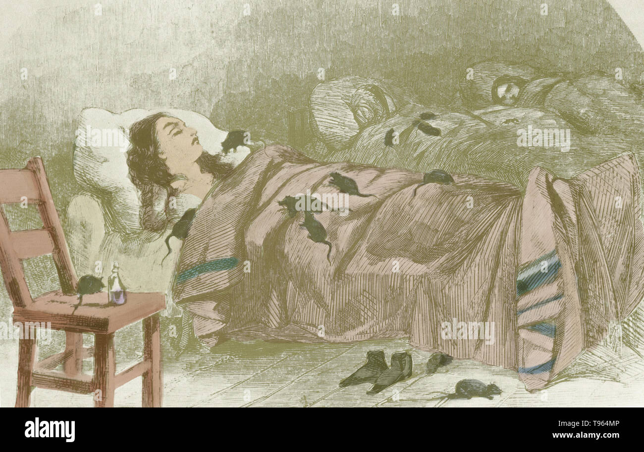 Grabado de Harper's Weekly (1860) que muestra las condiciones en el Hospital Bellevue, en Nueva York. Museo de la ciudad de Nueva York. Foto de stock