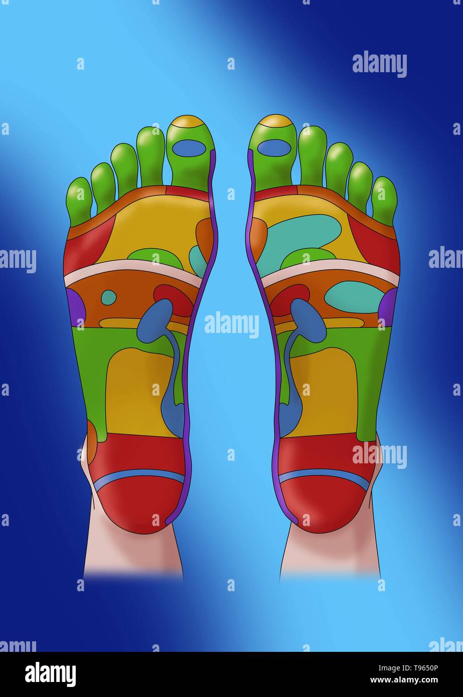 Que nos dicen nuestros pies según su forma, ⋆ Centro Personality Reflexology