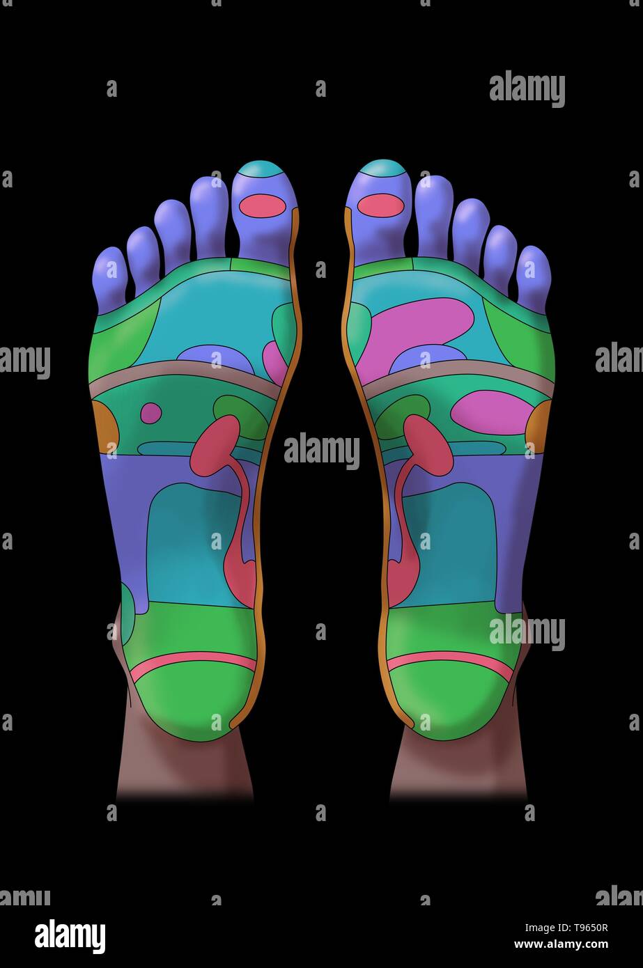 Tabla de pies de reflexología fotografías e imágenes de alta resolución -  Alamy