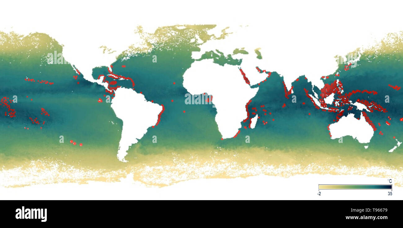 Mapa que muestra las ubicaciones aproximadas de grandes arrecifes de coral (rojo). También se muestran las temperaturas de la superficie del mar a partir de diciembre de 2017, con verdes y azules son los más cálidos. De 2014 a 2017, el aumento de las temperaturas del mar han causado la peor blanqueamiento de corales en el registro, con más de 70 por ciento de los arrecifes de coral, sufriendo daños. Cuando los corales se destacó por los cambios en las condiciones, tales como temperatura, luz o nutrientes, expulsan las algas simbióticas que viven en sus tejidos, causando a su vez completamente blanco. Foto de stock