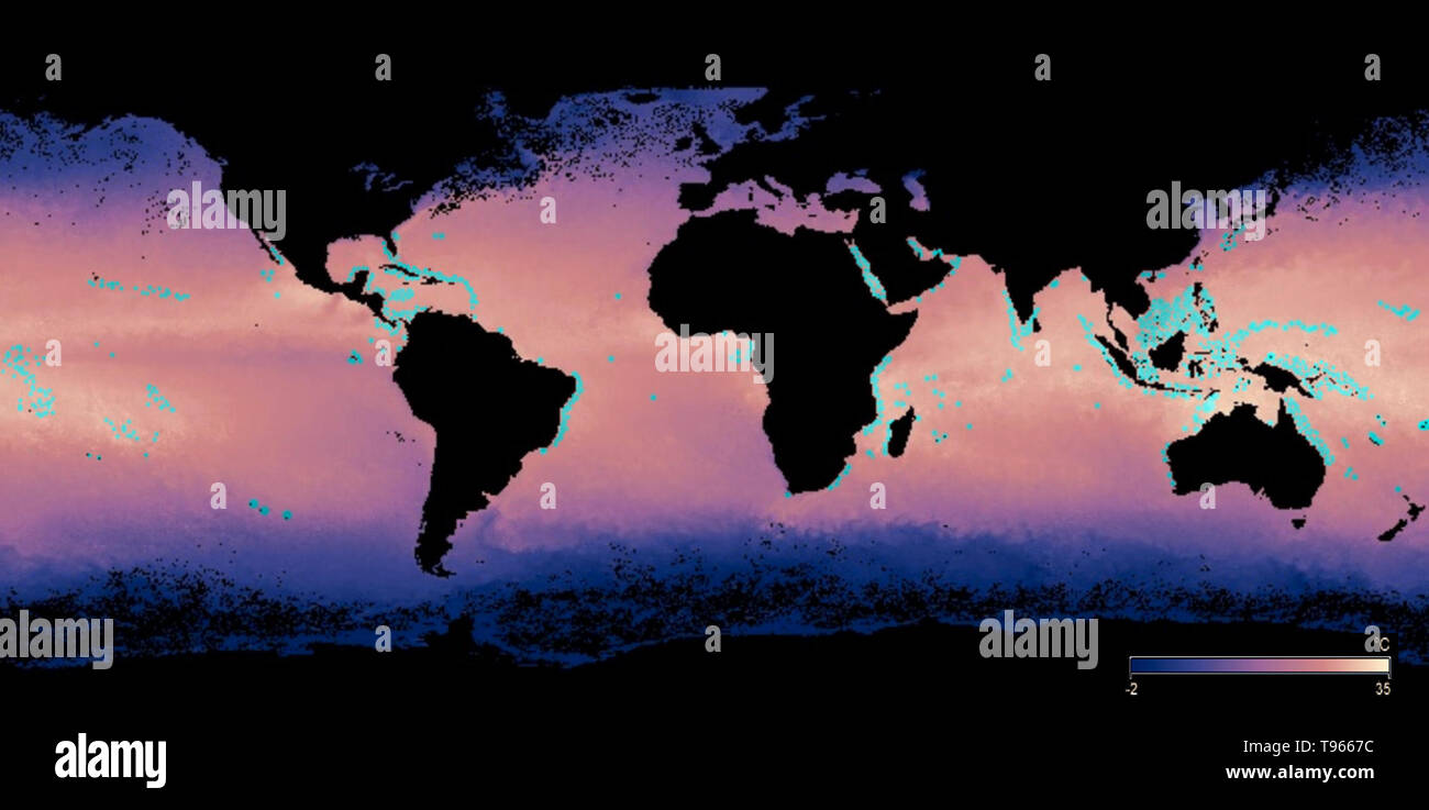 Mapa que muestra las ubicaciones aproximadas de grandes arrecifes de coral (azul). También se muestran las temperaturas de la superficie del mar a partir de diciembre de 2017, con azul es el más frío y el más caluroso de rosa y amarillo. De 2014 a 2017, el aumento de las temperaturas del mar han causado la peor blanqueamiento de corales en el registro, con más de 70 por ciento de los arrecifes de coral, sufriendo daños. Cuando los corales se destacó por los cambios en las condiciones, tales como temperatura, luz o nutrientes, expulsan las algas simbióticas que viven en sus tejidos, causando a su vez completamente blanco. Foto de stock