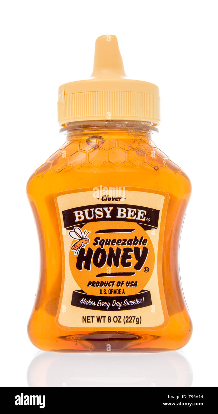 Winneconne, WI - 12 de mayo de 2019 : una botella de trébol Busy Bee miel sobre un fondo aislado Foto de stock