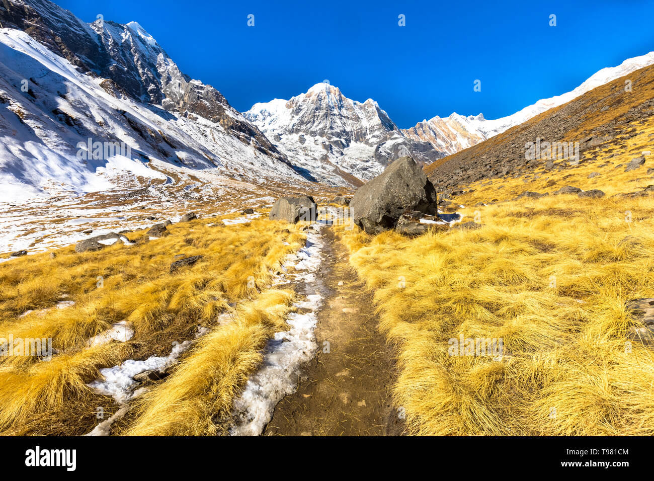 Hermosos paisajes vistos en el camino al Campamento Base Annapurna Trekking. un día soleado annapurna Nepal Foto de stock