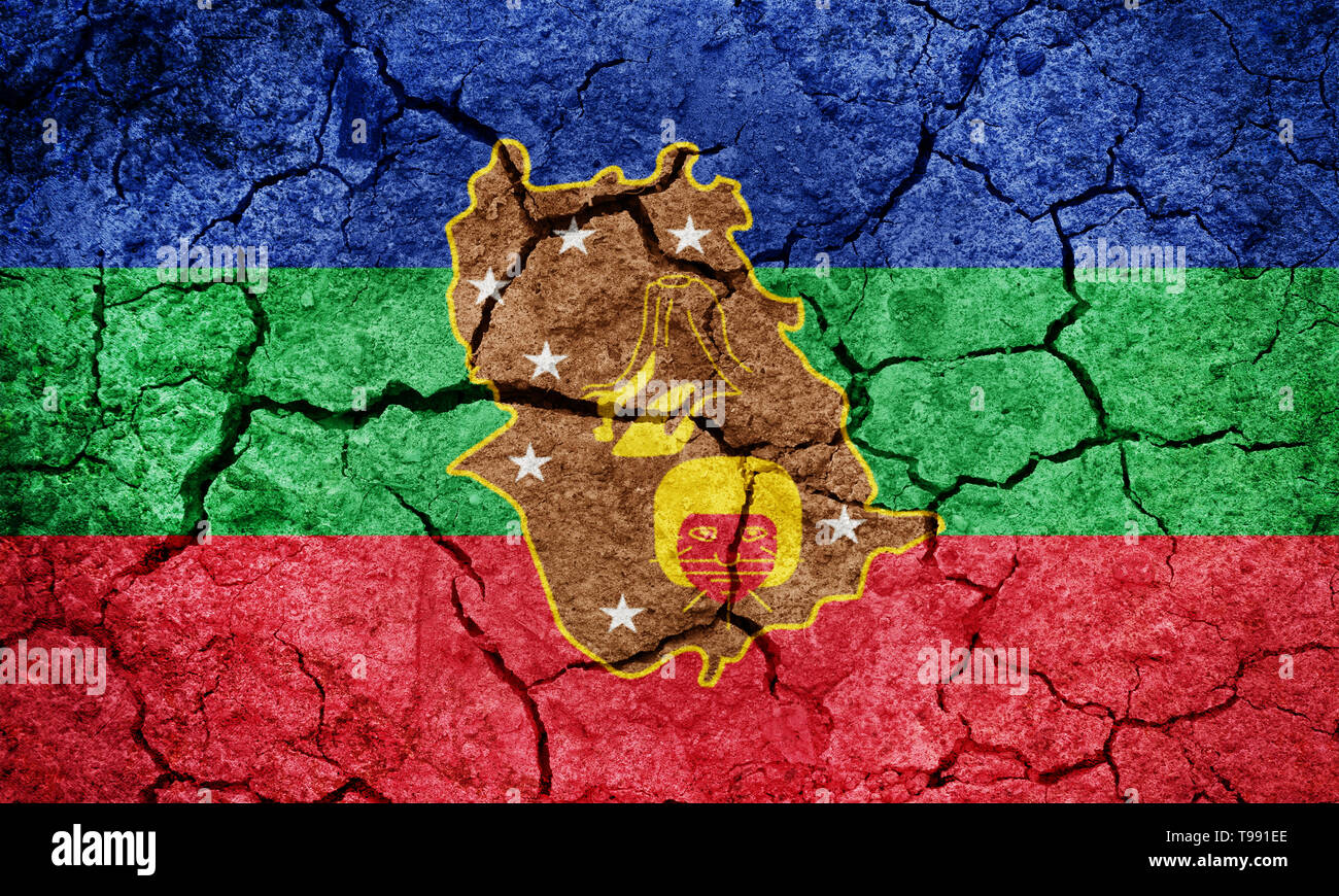 La bandera del estado de Amazonas, en el estado de Venezuela, en la