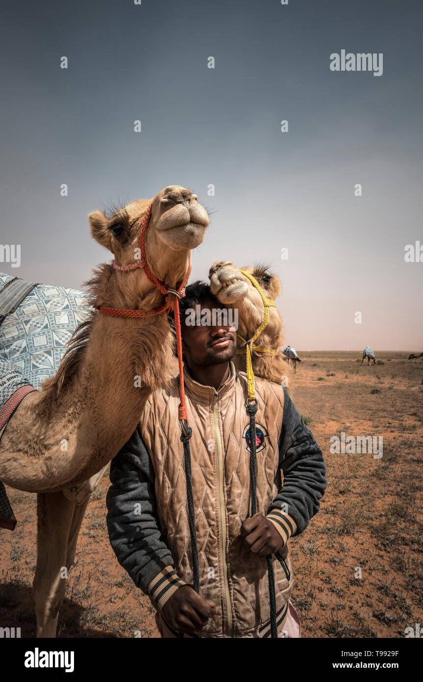 Fuerte relación entre el camello keeper y sus camellos, Arabia Saudita Foto de stock