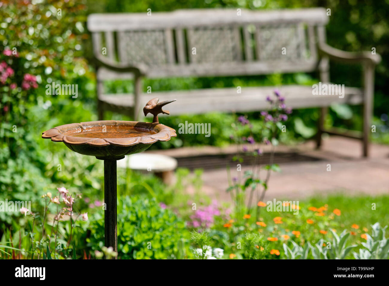 Visión idílica de un hermoso y verde jardín primaveral creciente con plantas con flores, hierba y un baño de pájaros y un banco de madera en un día soleado Foto de stock