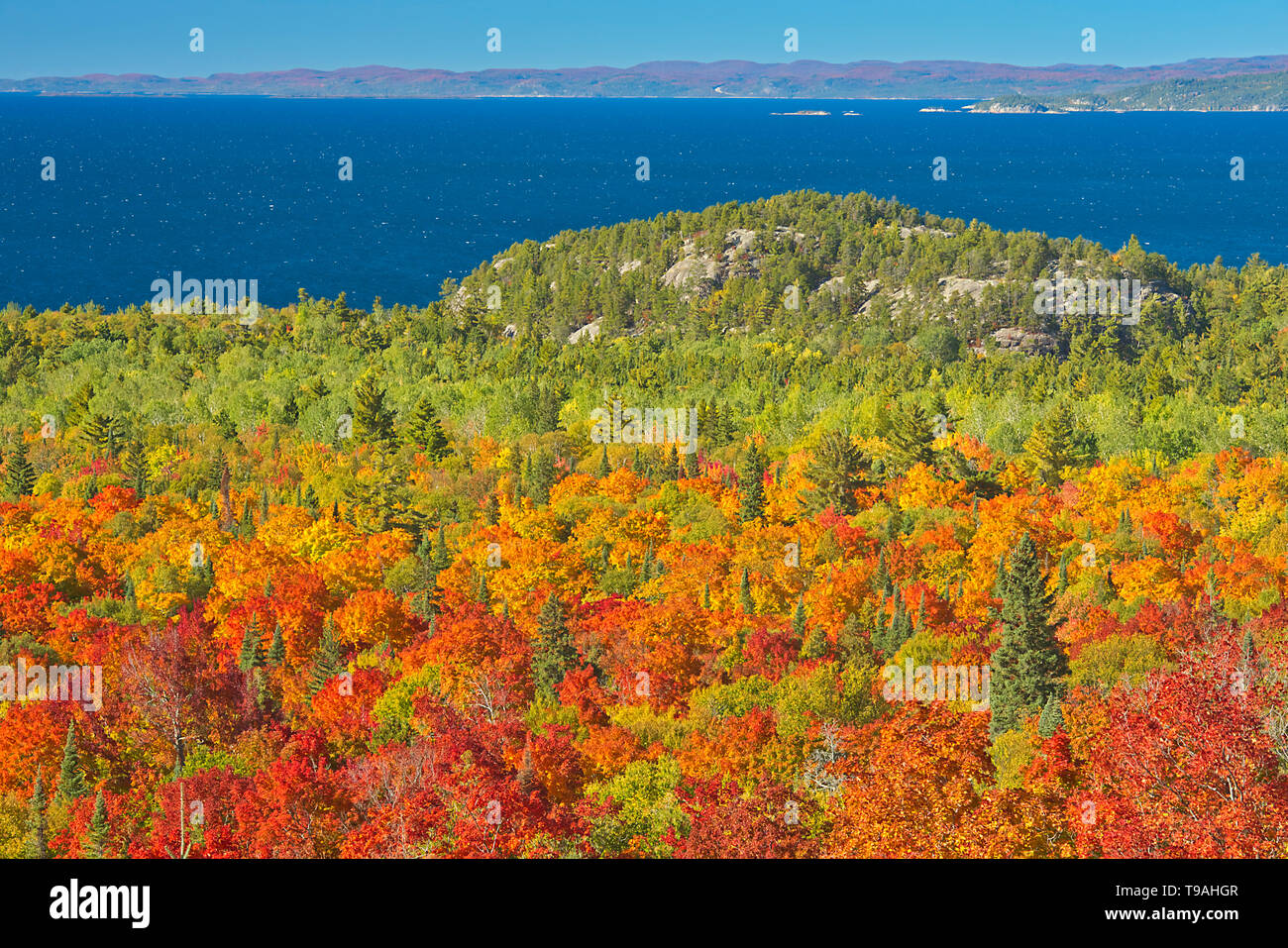 Colores de otoño los árboles con vistas al río Montreal puerto sobre el Lago Superior Lago Superior del Parque Provincial de Ontario, Canadá Foto de stock