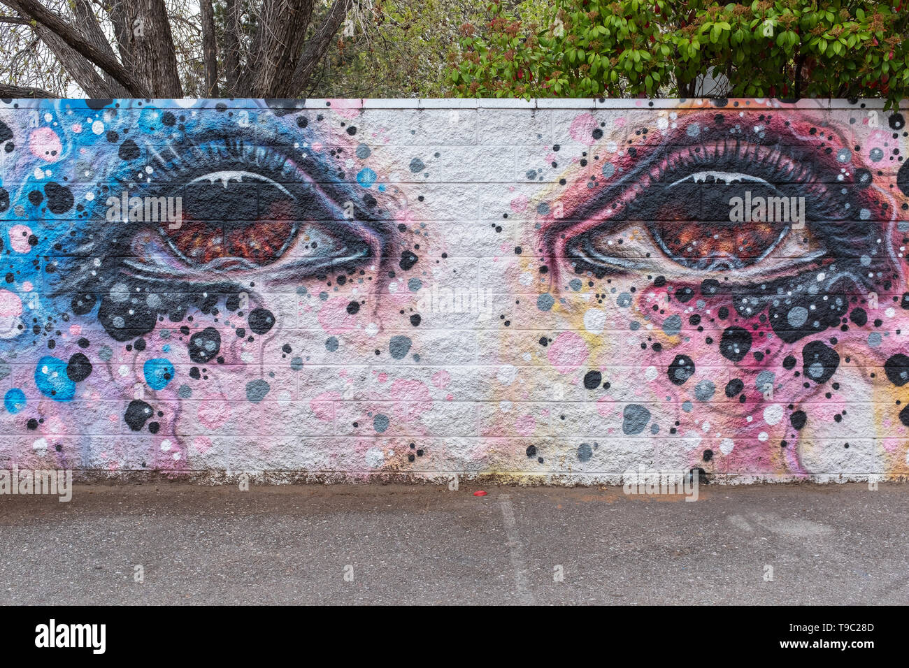 Mural (detalle) sobre la pared exterior de ojos emocional de Collin Salazar  para murales Fest '18 (Albuquerque) llamado "Victoria Fotografía de stock -  Alamy