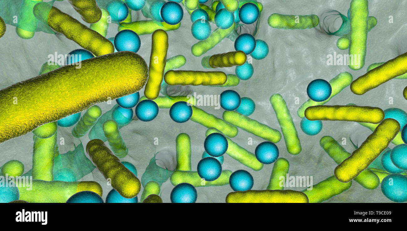 Las bacterias en un biofilm, ilustración Foto de stock