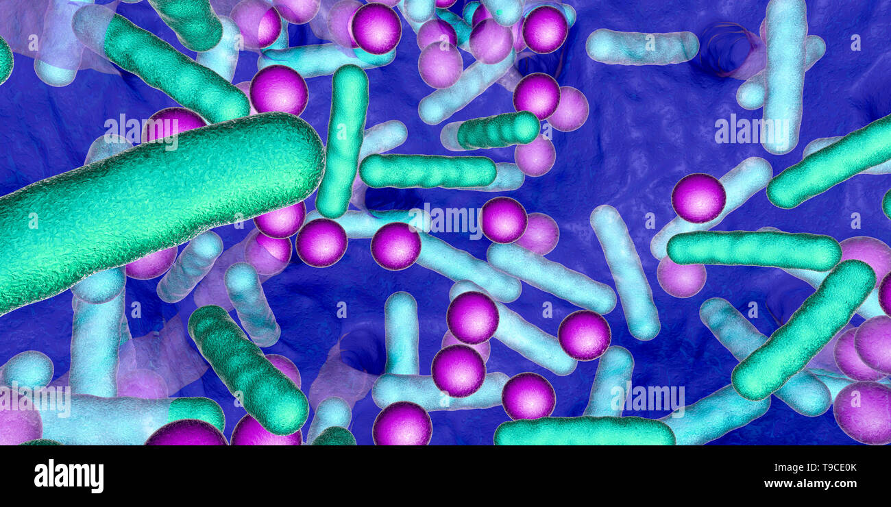 Las bacterias en un biofilm, ilustración Foto de stock