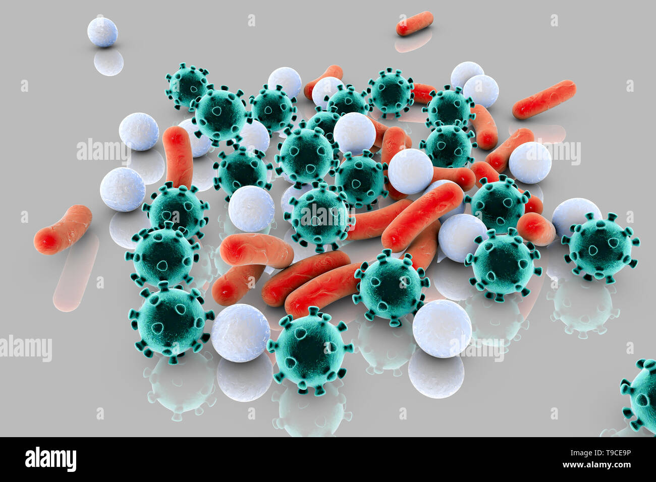 Las bacterias y los virus, ilustración Foto de stock