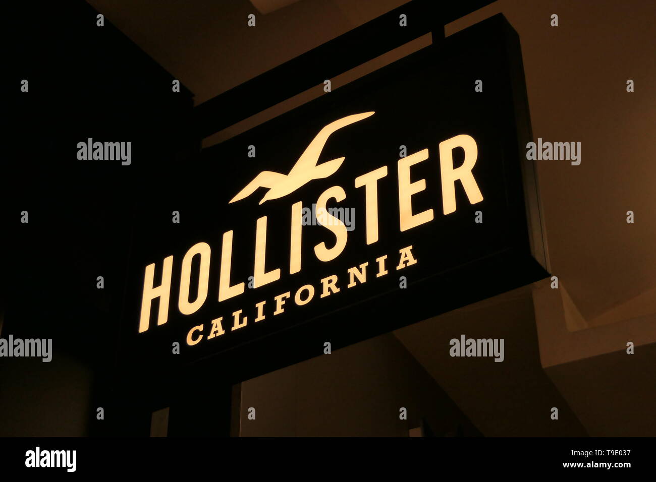 Especiales de ropa hollister discount