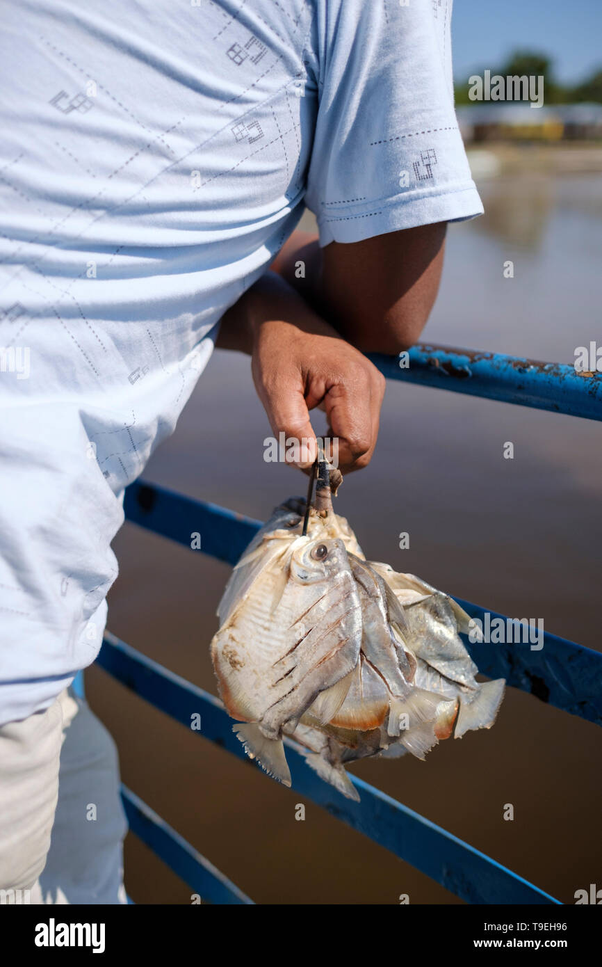 El hombre lleva local de un montón de pez llamado palometas y capturado en el río en el ferry que va de Yurimaguas a Iquitos, departamento de Loreto, Perú Foto de stock