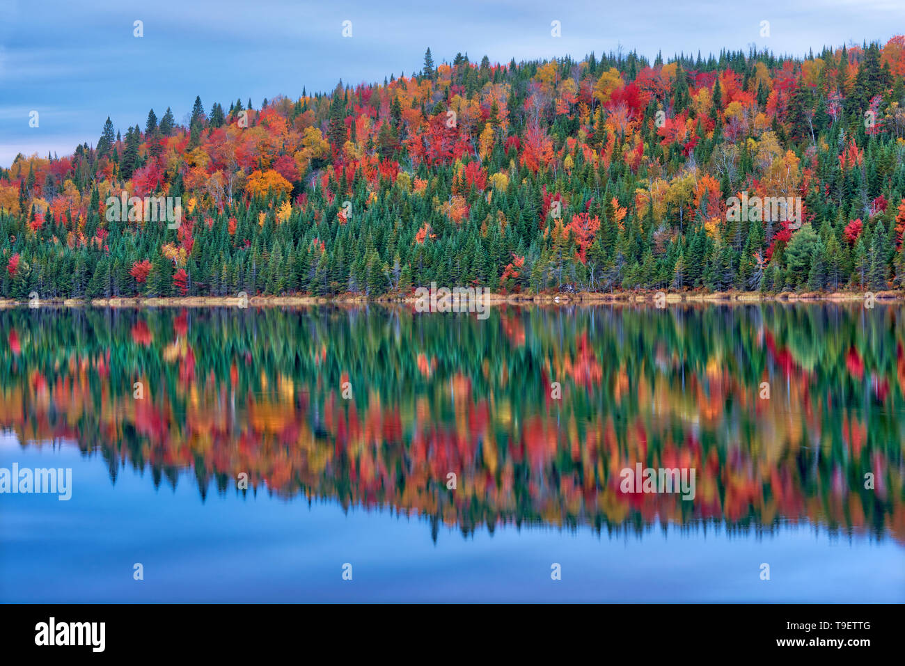 Colores de otoño reflejado en Lac Modène. Grandes Lagos - Región Forestal de San Lorenzo. Parque Nacional de Mauricie Quebec Canada Foto de stock