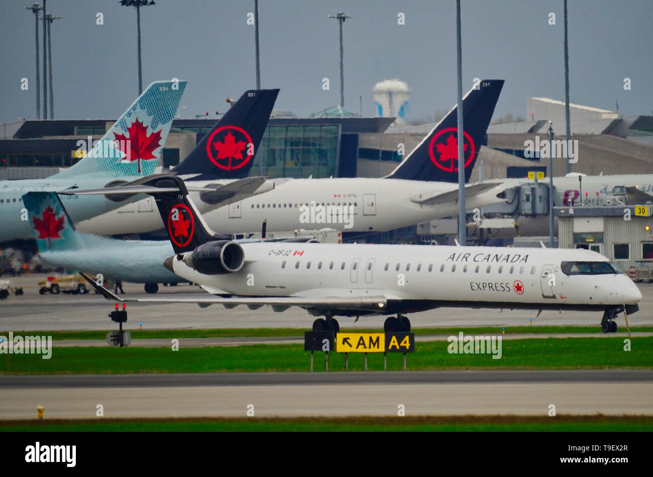 Montreal, Canadá, 17 de mayo de 2019 aviones de Air Canada de rodadura en el Aeropuerto Trudeau de Montreal, Quebec, Canada.Crédito:Mario Beauregard/Alamy Live News Foto de stock