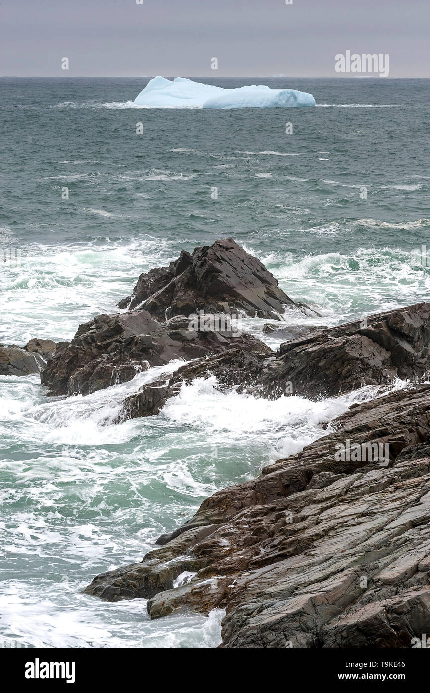 Berg de hielo pequeños flotadores por la costa rocosa como olas contra la costa rocosa de bienvenida Foto de stock