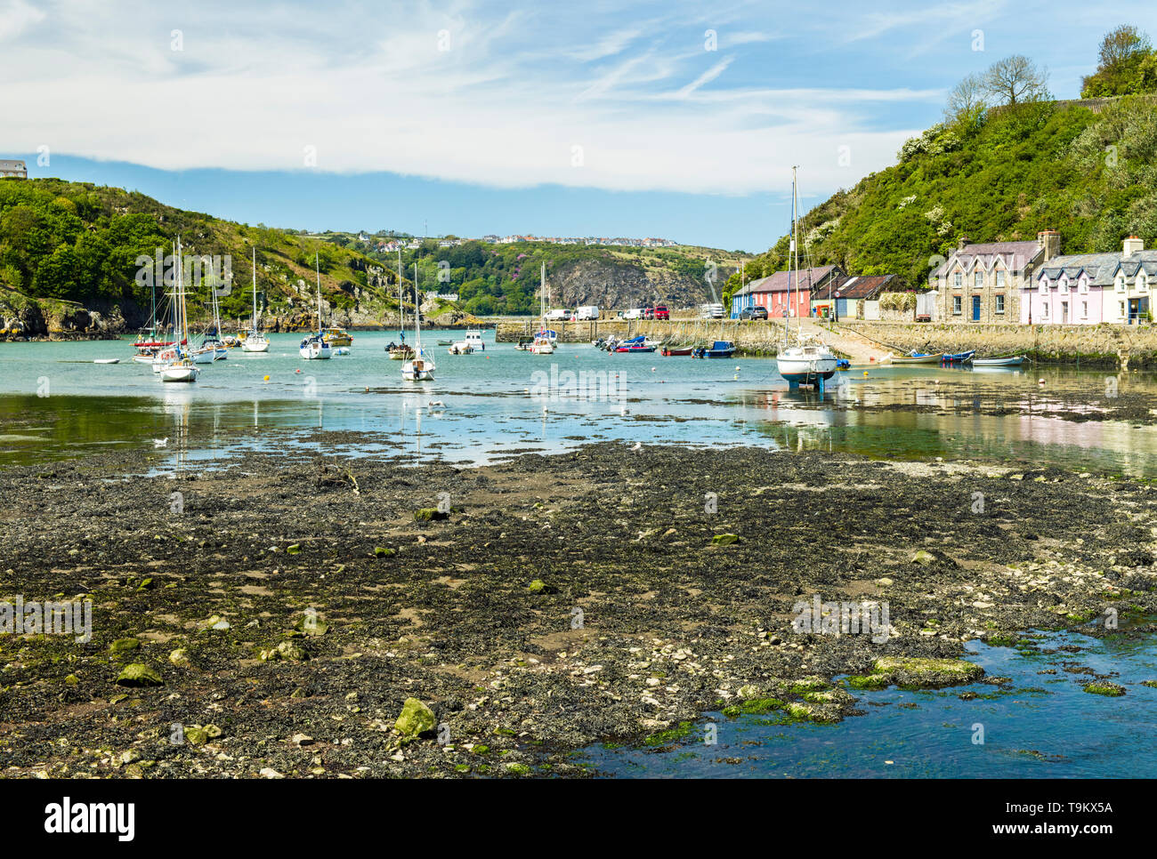 Pueblo costero de Abergwaun, también conocida como Baja Fishguard. Famoso por ser un lugar por debajo de la leche es de madera Abergwaun la costa de Pembrokeshire. Foto de stock