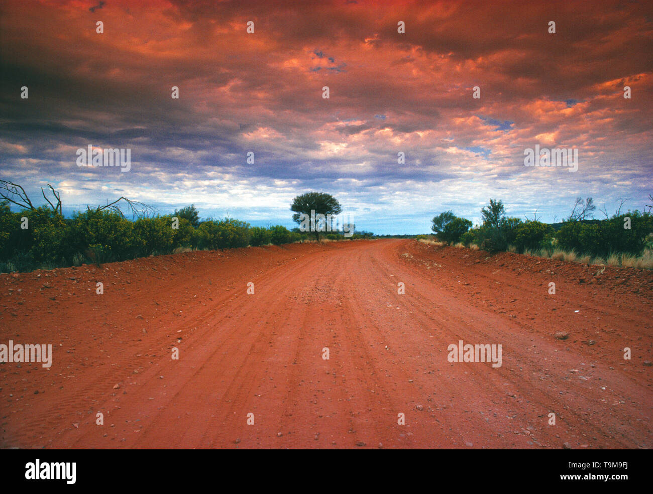 Australia. El Territorio del Norte. Centro rojo camino de ripio. Foto de stock