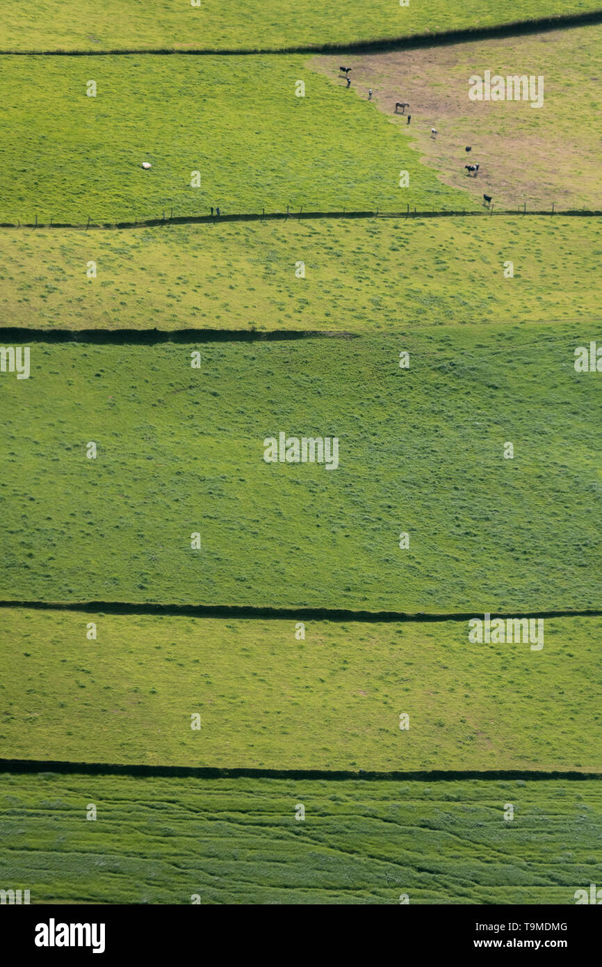 Imagen aérea de pastos verdes en la isla de Sao Miguel, Azores Foto de stock