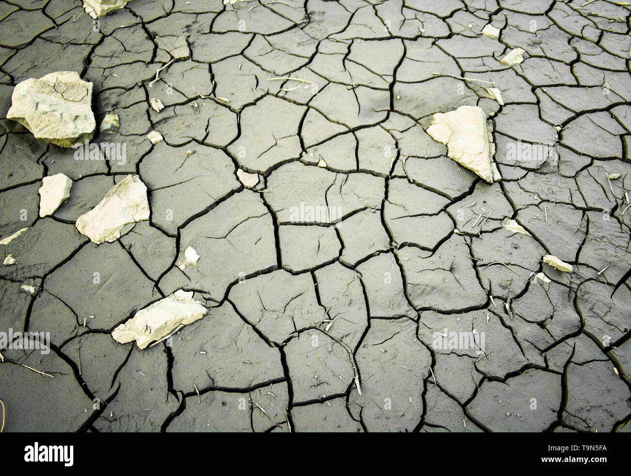 Concepto de calentamiento global hasta el lecho del lago seco agrietado Desierto estilo Western. Foto de stock