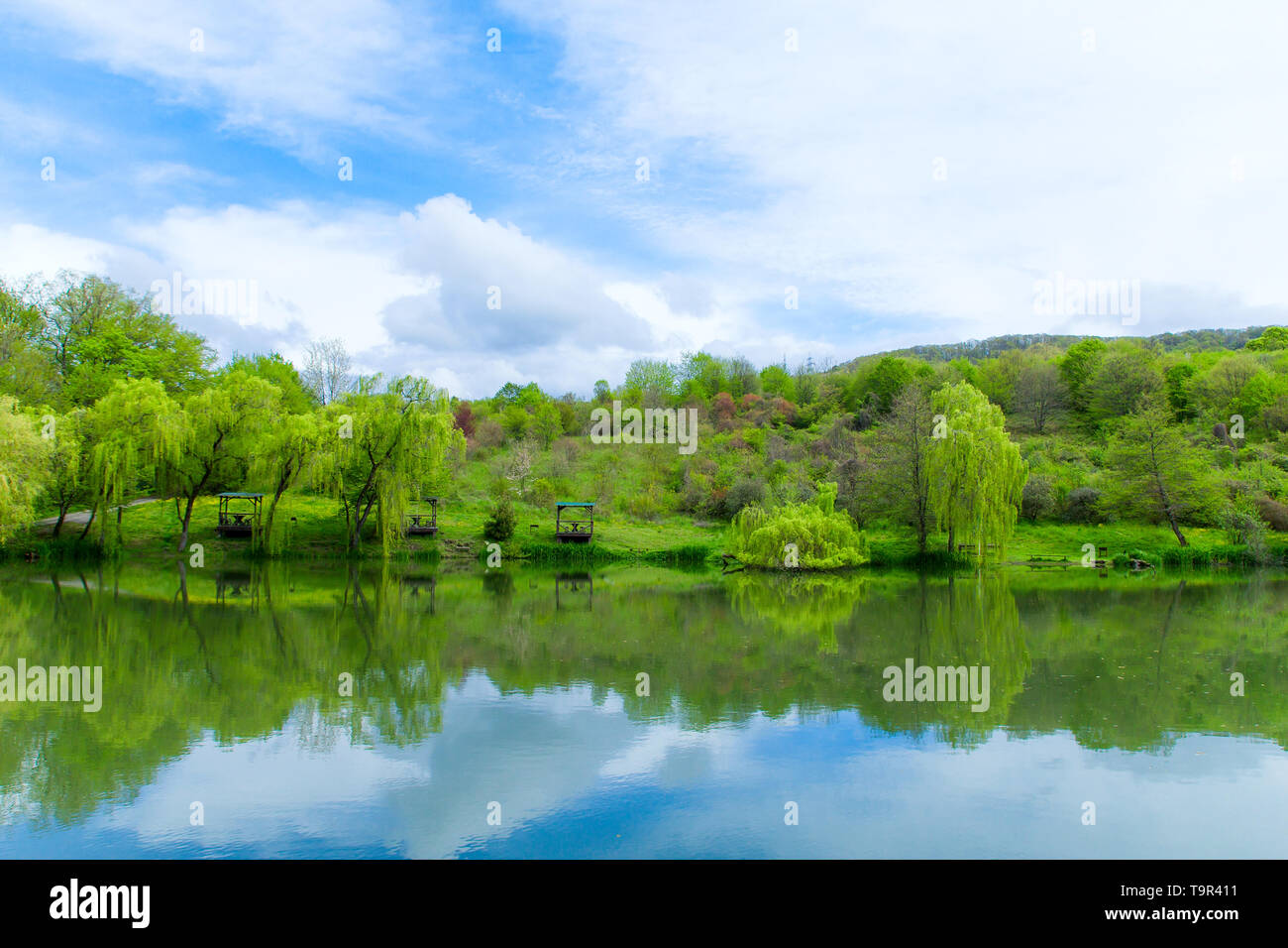 Cenadores de madera y los sauces llorones en las orillas del lago en un día claro y soleado y su reflejo en el lago Foto de stock