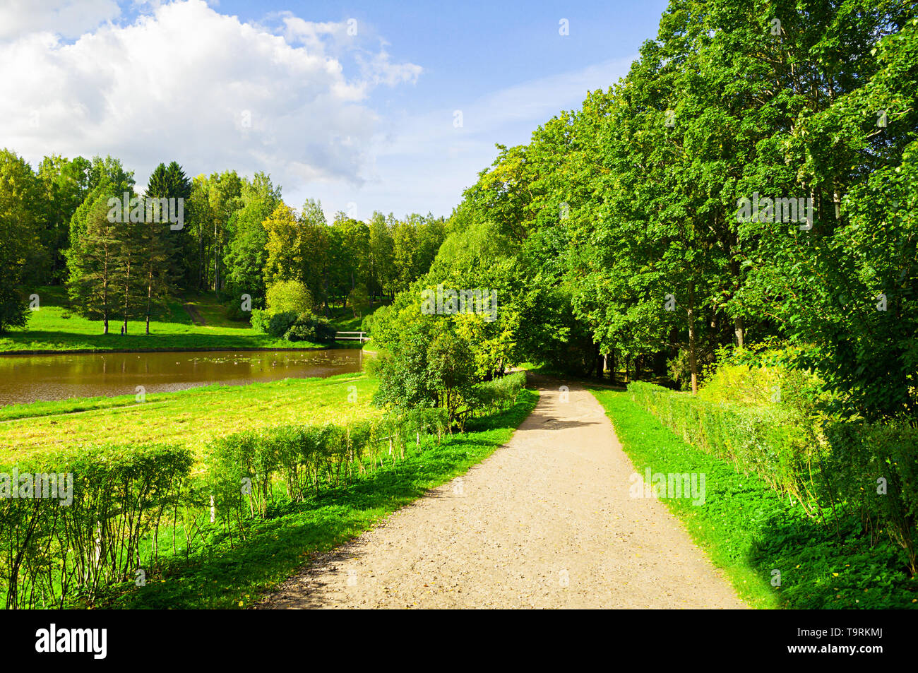 Paisaje de verano - bosque árboles que crecen en la orilla del río y el  camino estrecho. Parque de Verano Naturaleza en día soleado Fotografía de  stock - Alamy