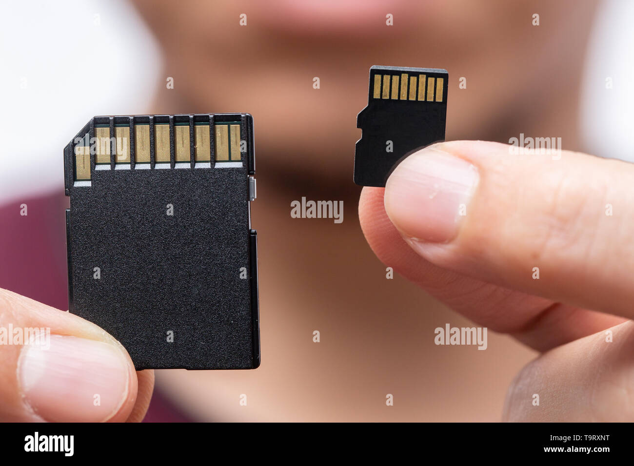 Importa el tamaño de memoria de almacenamiento digital concepto,Tarjeta SD y la tarjeta SD micro comparar en el mango Foto de stock