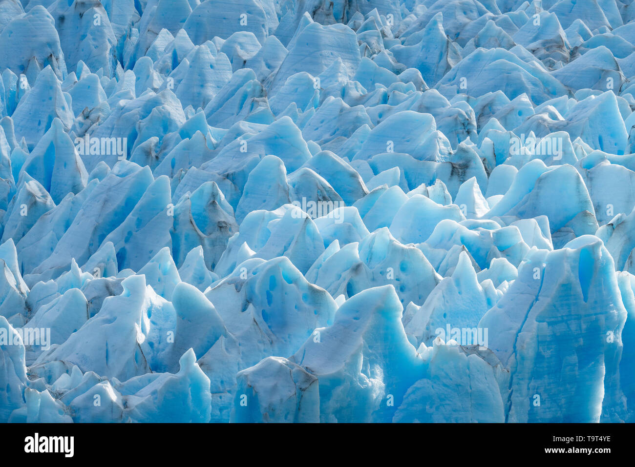 La jaggedly esculpida cara del Glaciar Grey en el Lago Grey en el