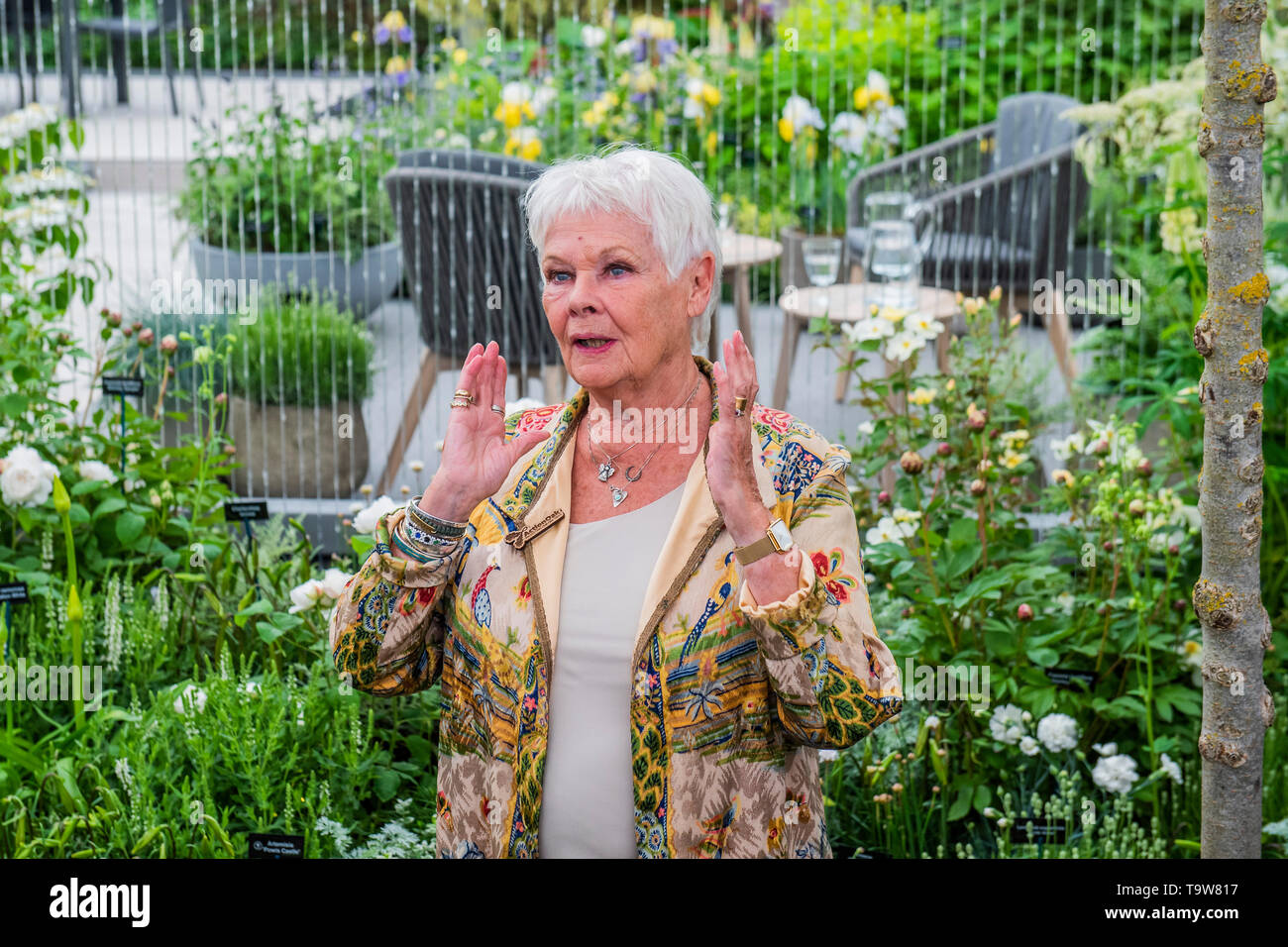 Londres, Reino Unido. 20 de mayo de 2019. Dame Judi Dench lanza una nueva iniciativa sobre la elming Hillier viveros stand - Pulse visprev día en el RHS Chelsea Flower Show. Crédito: Guy Bell/Alamy Live News Foto de stock
