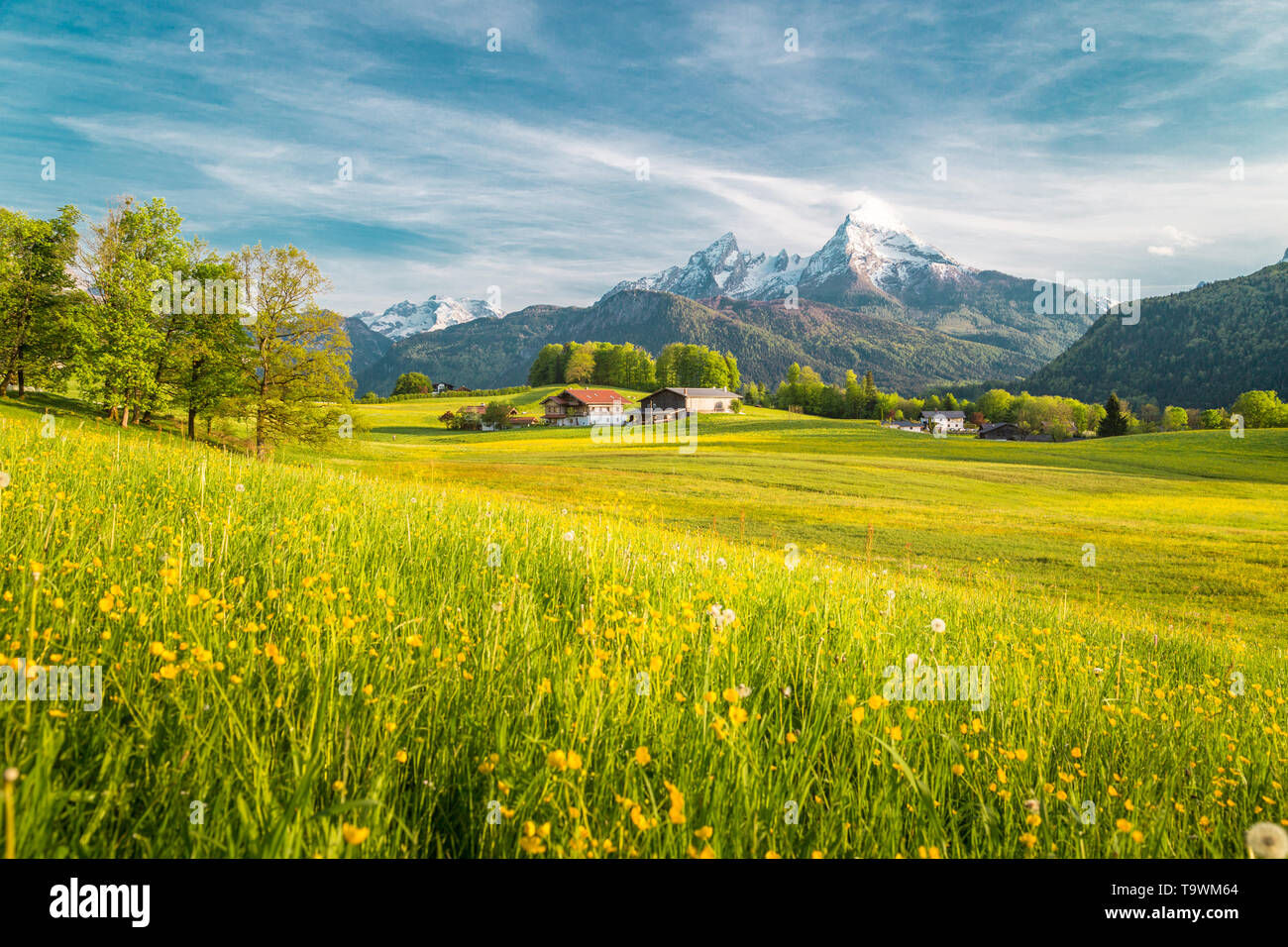 Preciosas vistas del idílico paisaje alpino de montaña con prados en flor y los picos nevados de las montañas en un hermoso día soleado con el cielo azul en la primavera Foto de stock