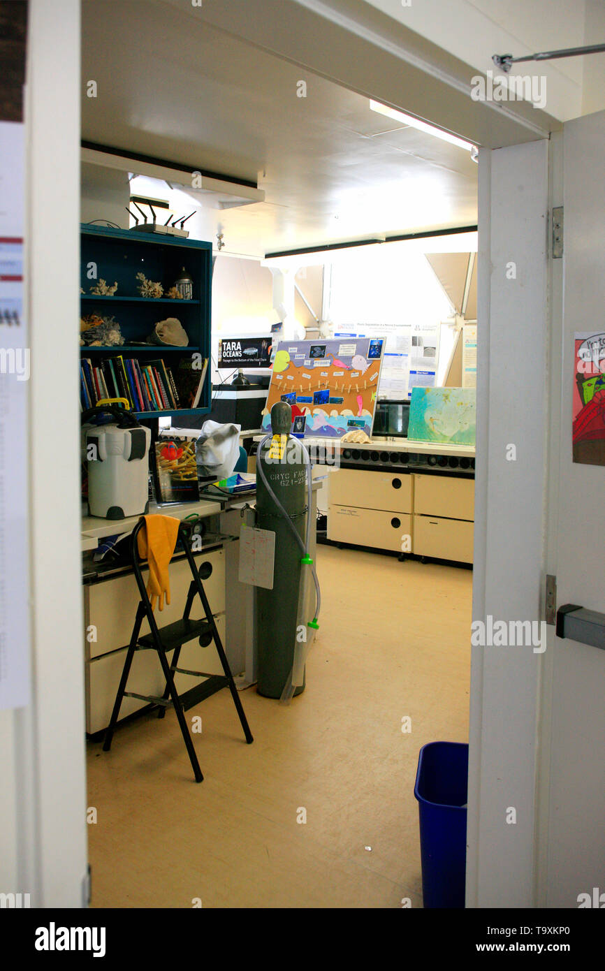 Trabajo en laboratorio Bisosphere 2, el American Earth System Science Research Facility localizada en Oracle, AZ Foto de stock