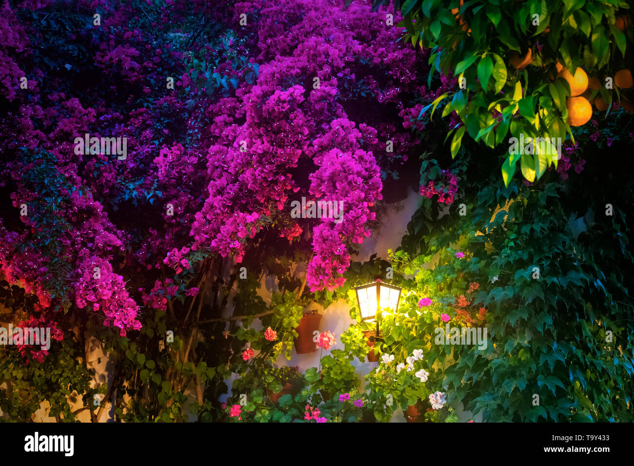 Linterna de pared en un típico patio cordobés adornado para mayo. Foto de stock