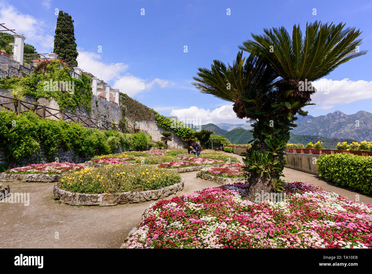 Villa Rufolo jardín formal en Ravello, en la provincia de Salerno, en el sur de Italia Foto de stock