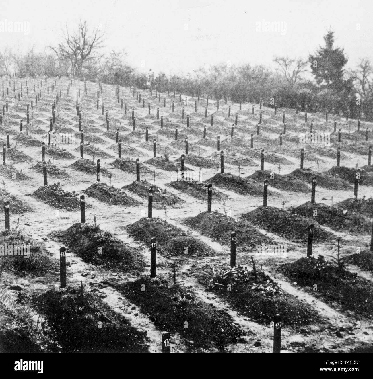 En Hadamar cementerio donde las víctimas del programa de eutanasia nazi fueron enterrados Foto de stock